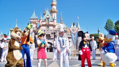 Disneyland Cast Members Rally for Unionization